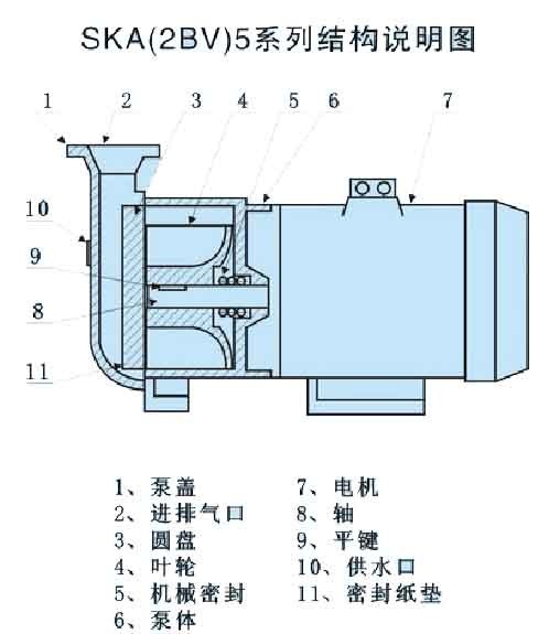 SKA(2BV)水環(huán)真空泵結構圖